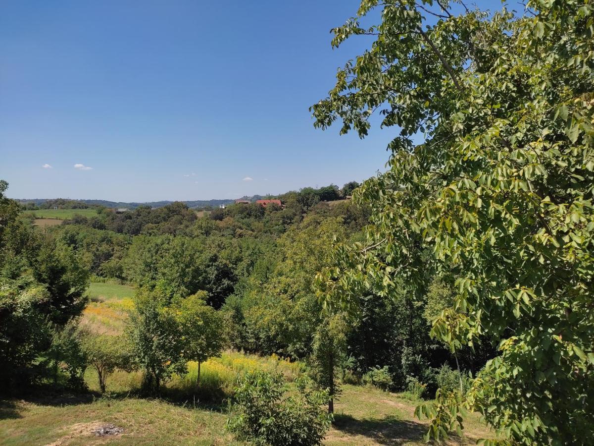 Kraljeva Hiza - Apartmani I Sobe Kralj Sveti Martin Na Muri Luaran gambar